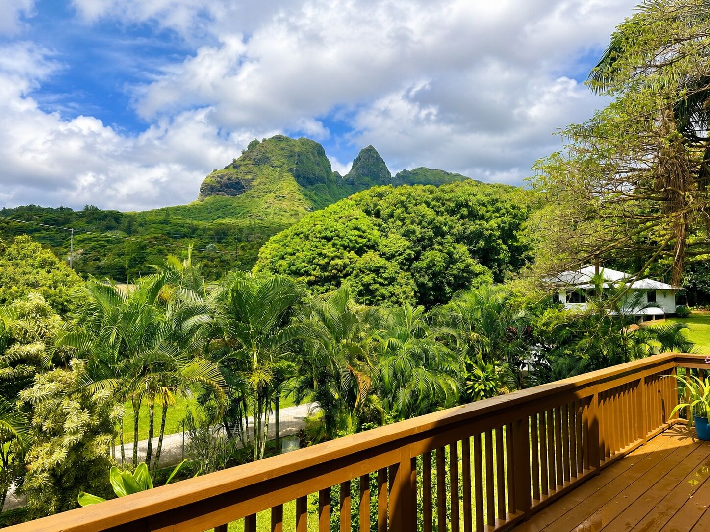 Property Photo:  4492 Aliomanu Rd 1  HI 96703 