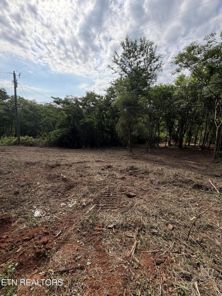 Property Photo: 811 Trigonia Rd TN 37801