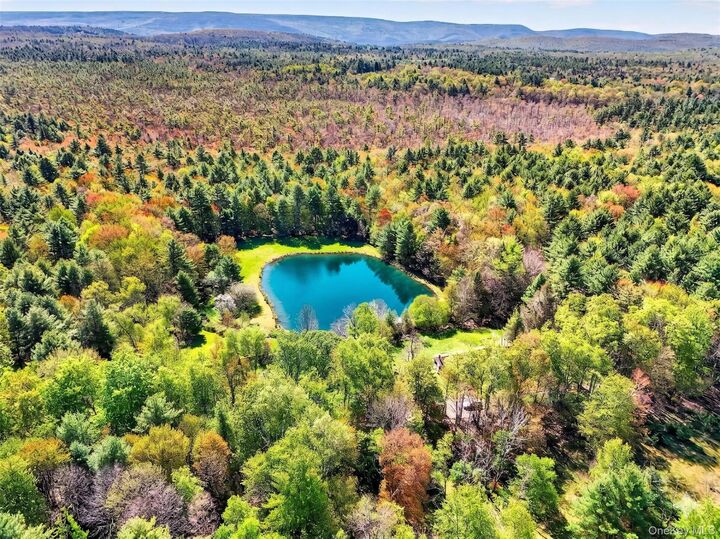 Property Photo:  70 Spook Hole Road  NY 12428 