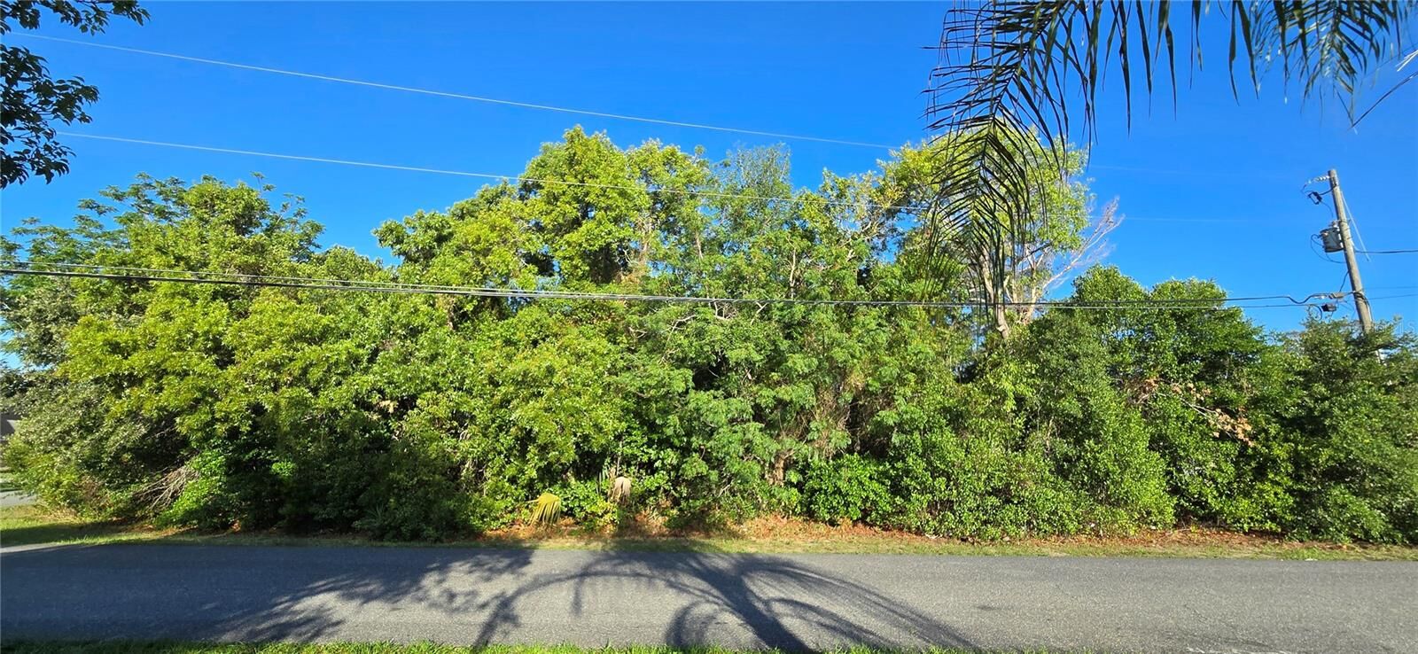 Property Photo:  0 Captain Drive  FL 34608 