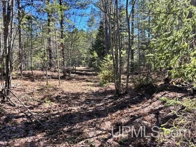Property Photo:  Unit 61 Little Rice Lake Road  MI 49945 