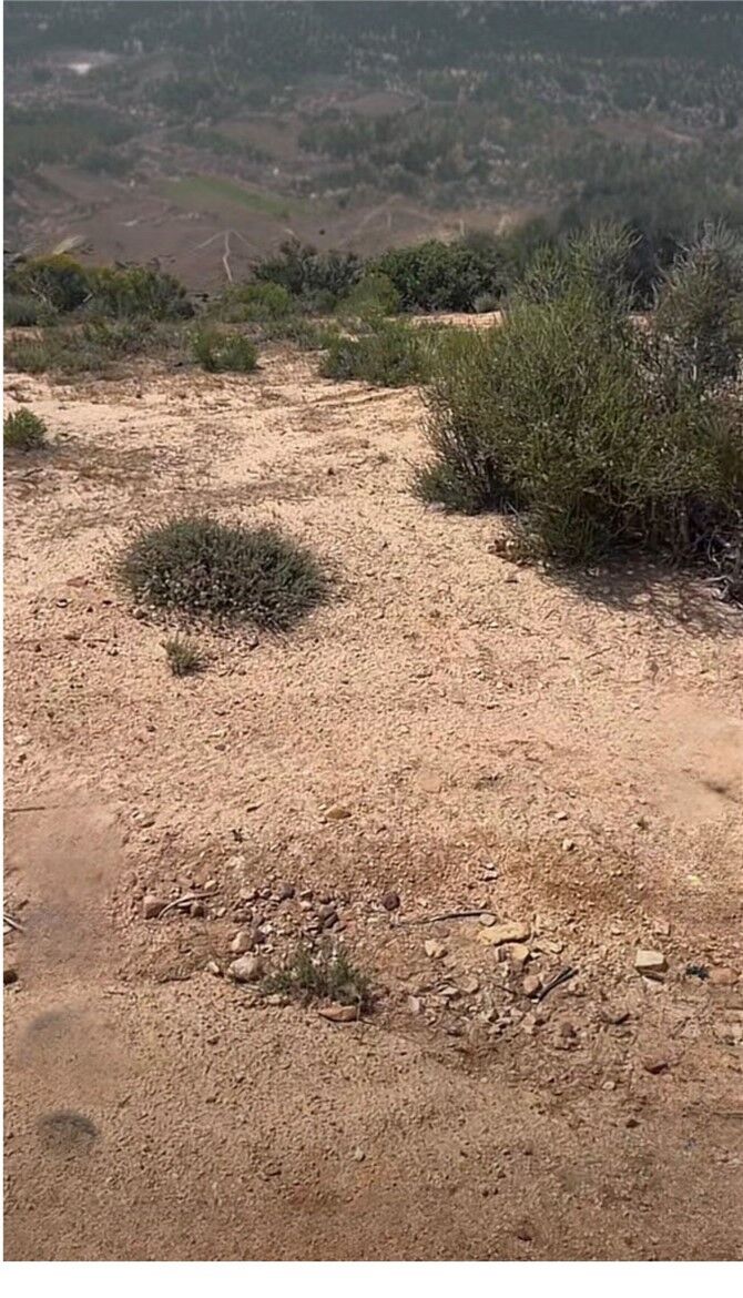 Property Photo:  1 McConneny Road  CA 92345 