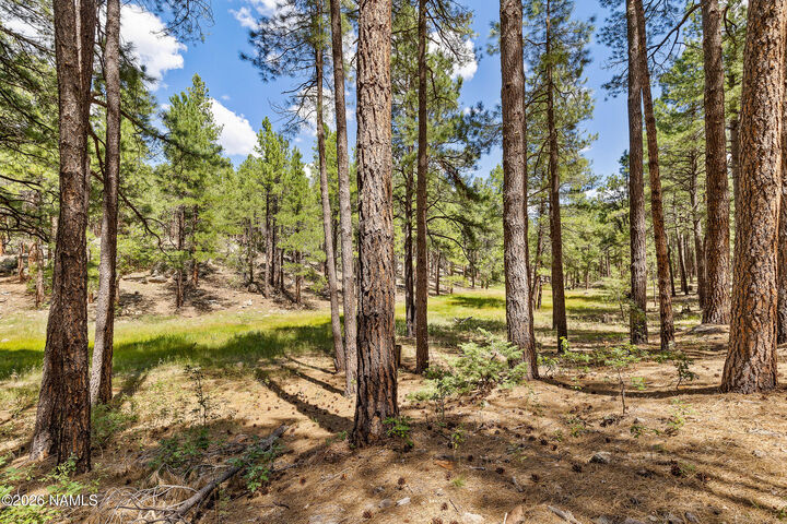 Property Photo:  3456 Laurie Lane  AZ 86005 