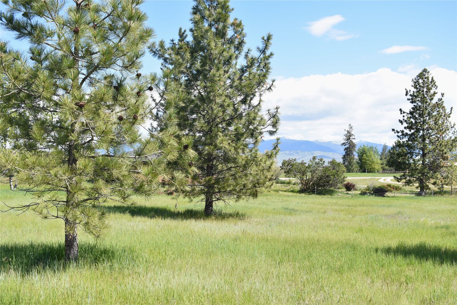Property Photo:  Nhn Wornath Road  MT 59804 