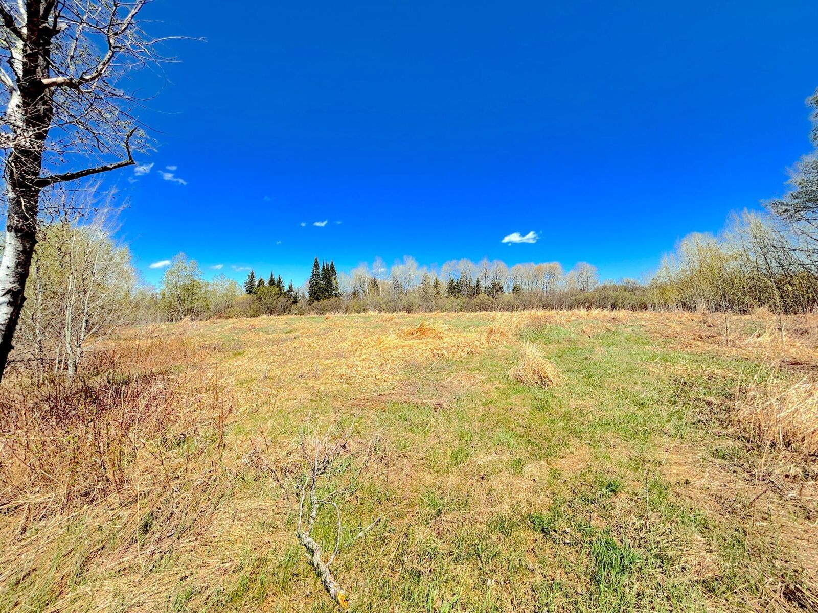 Property Photo:  22xx Bardon Avenue  WI 54880 