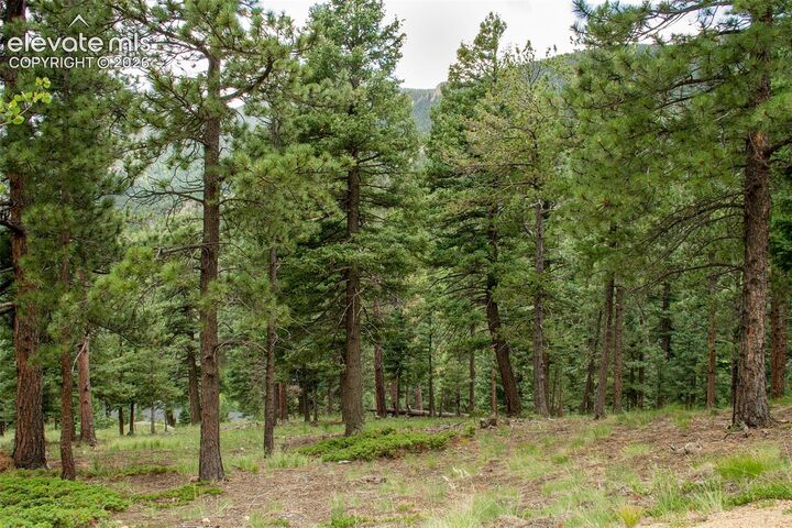 Property Photo: 266 Aspen Ridge Road CO 80829