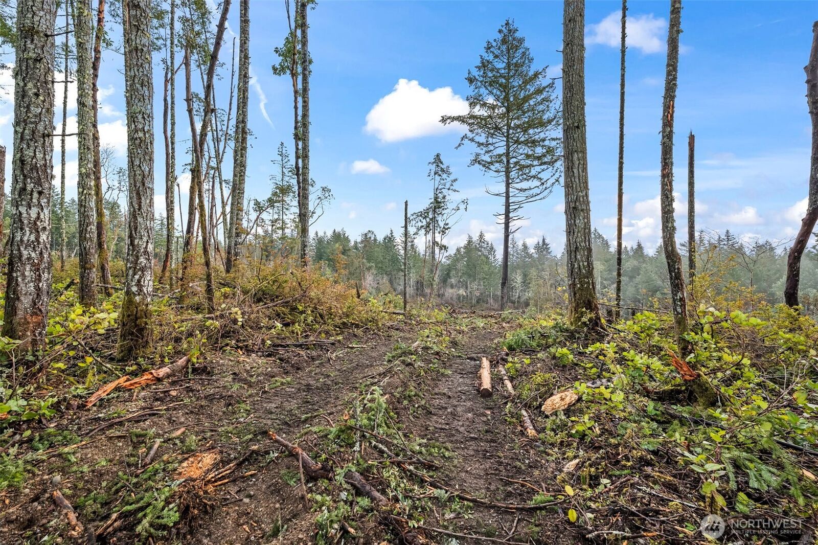 Property Photo:  1809  208th Avenue SW  WA 98349 