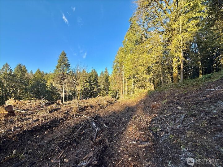 Property Photo: 75 E Lakewood Drive WA 98528