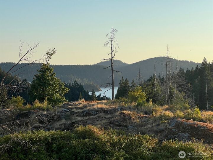 Property Photo: 7006 State Route 20 WA 98221