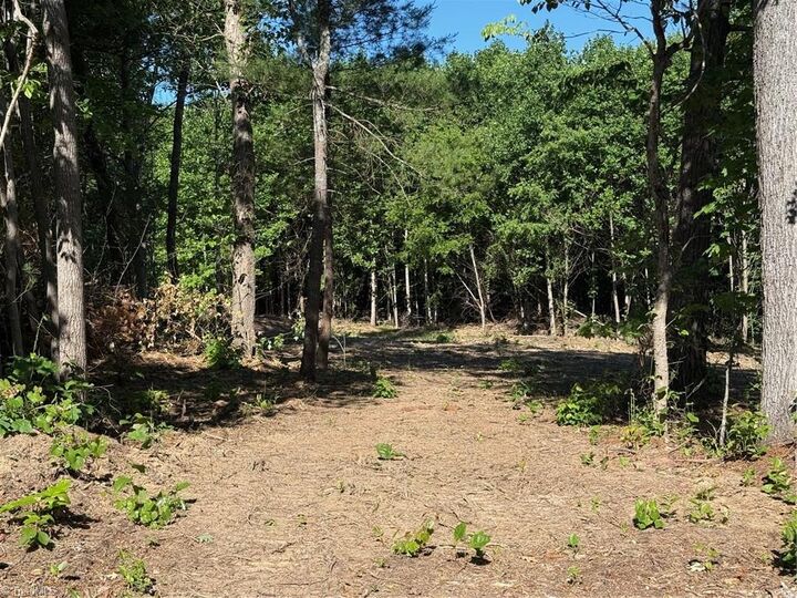 Property Photo:  000 Parks Ridge Road  NC 28697 