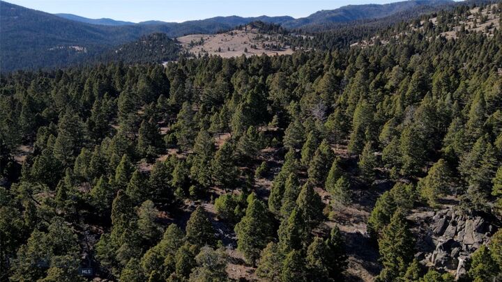 Property Photo:  91 Upper Radar Creek Road  MT 59759 