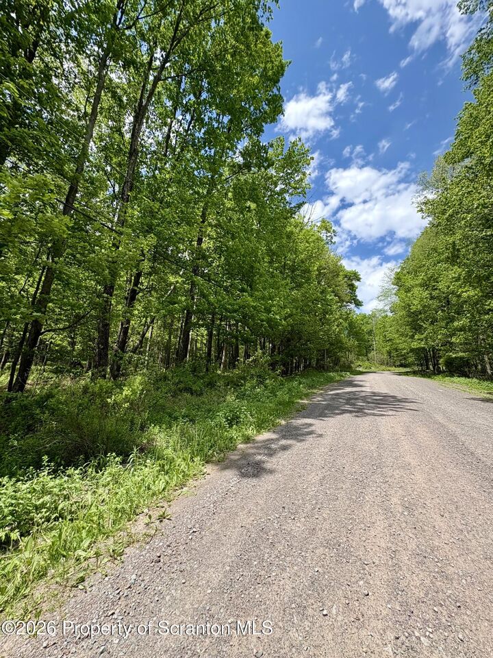 Property Photo:  Marys Lane  PA 18444 