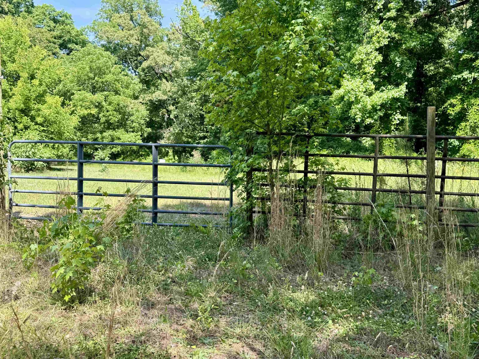 Property Photo: 1040 White Oak Lane GA 30642