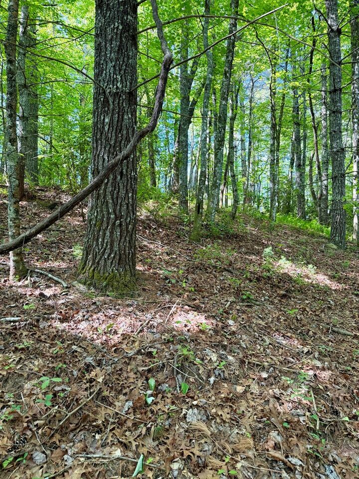 Property Photo:  675 Ed Graves Rd  NC 28906 