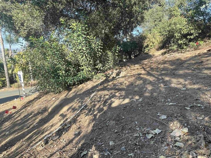 Property Photo: 0 El Granito Avenue CA 91941