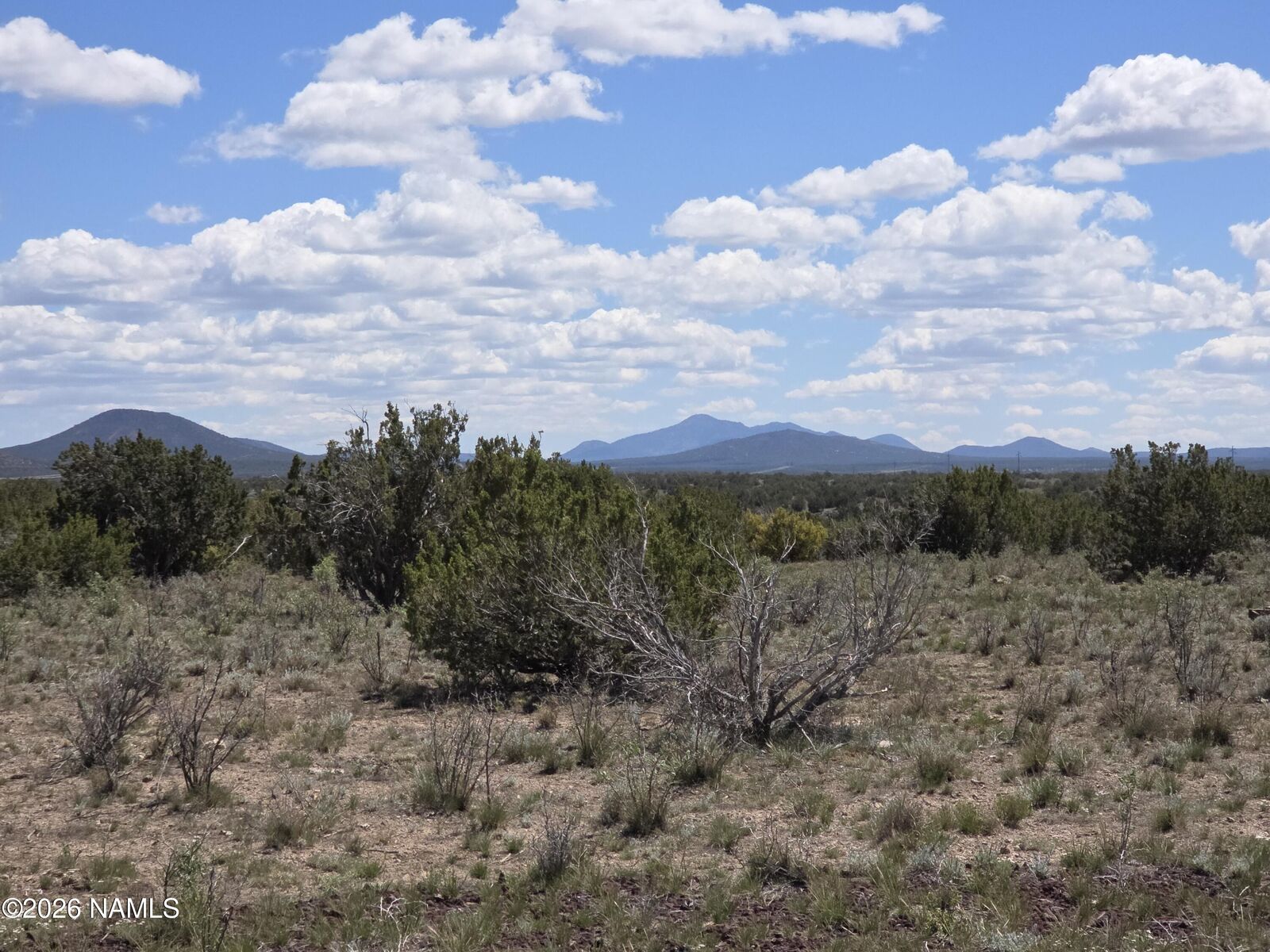Property Photo:  11718 S Blackbird Way  AZ 86046 