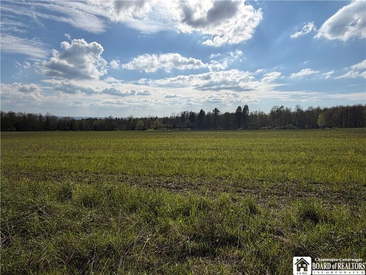 Property Photo:  00 Scott Hill - Vl Road  NY 14747 
