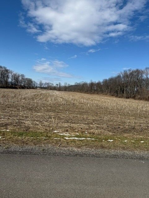 Property Photo:  22 Brooks St, Lot C  NY 14883 