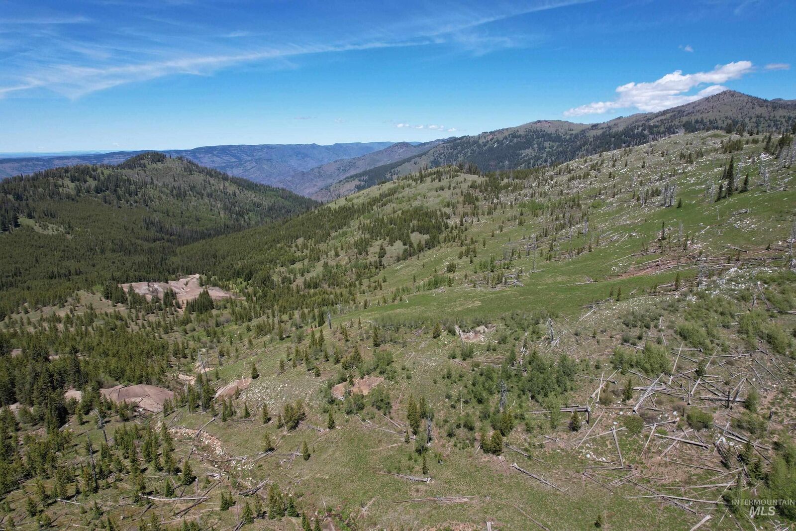 Property Photo: 0 Nat'l Forest Develop Road 493 ID 83612