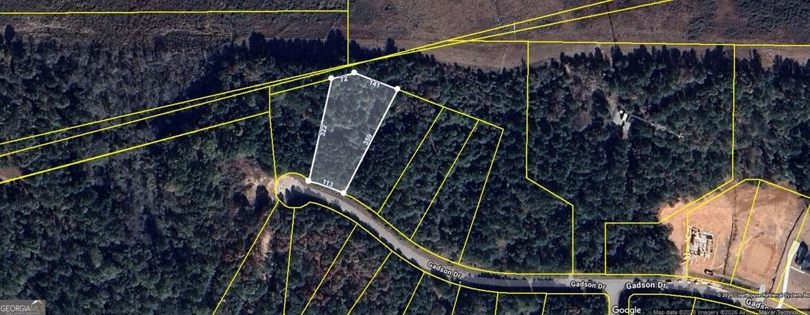 Property Photo:  245 Gadson Drive  GA 30214 