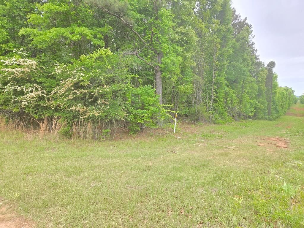 Property Photo:  0 Oak Mountain Road  GA 31826 