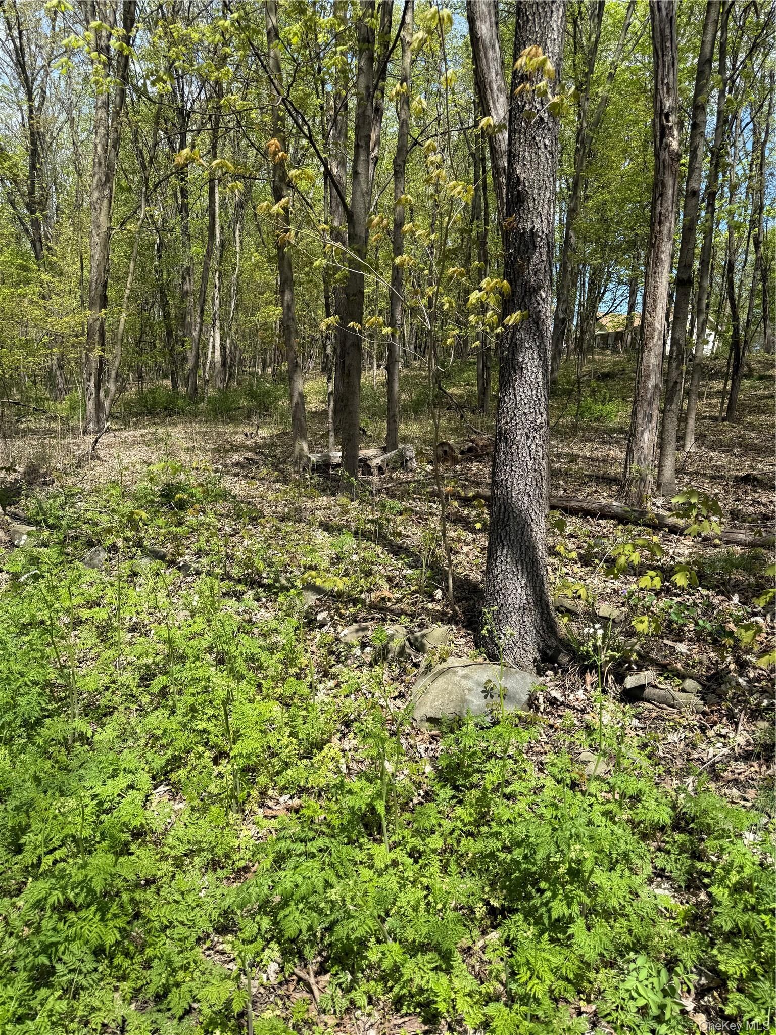 Property Photo:  120 Floyd Ackert Road  NY 12429 