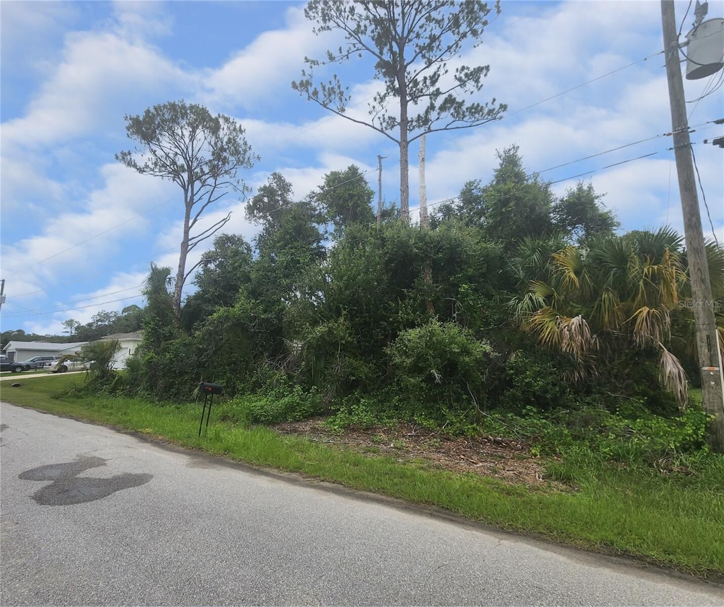 Property Photo: Tarabilla Avenue FL 34291