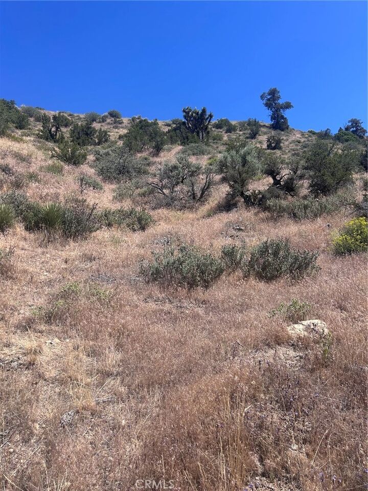 Property Photo: 0 Jack Frost CA 92372