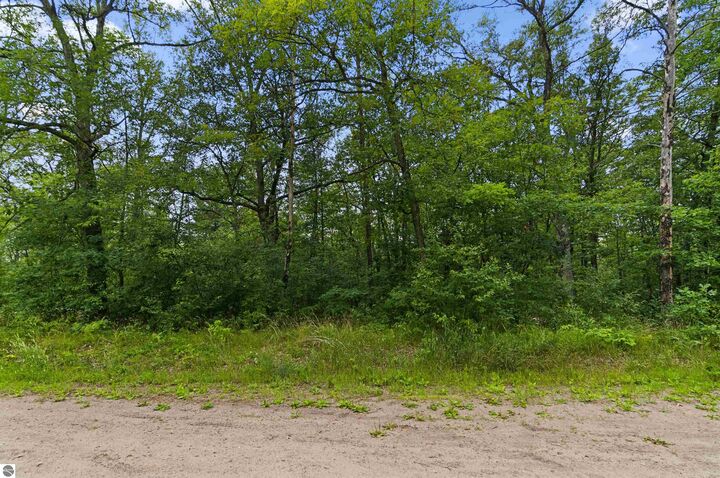 Property Photo: V/L W Pontiac Street MI 49304