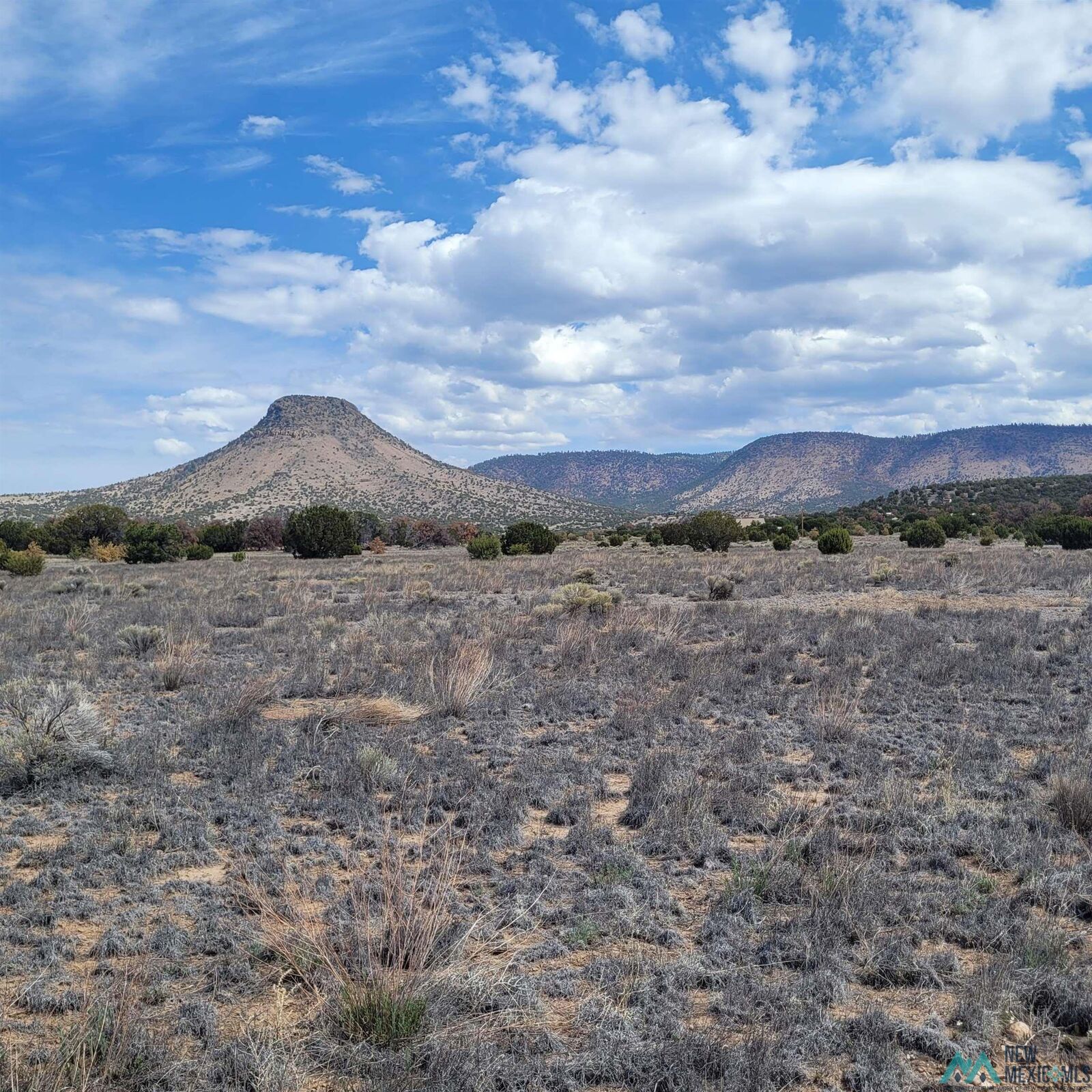 Property Photo: Xx (Lot 46) Southern Trail NM 87821-0000