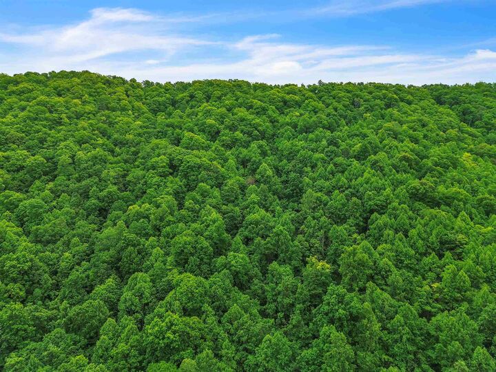 Property Photo:  0 Ravens Ridge Road  VA 24134 