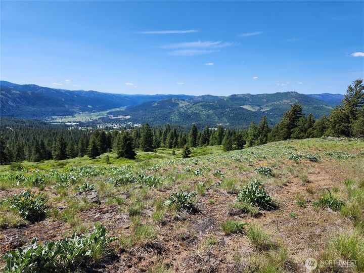 Property Photo:  0 E Knob Hill Road  WA 99166 