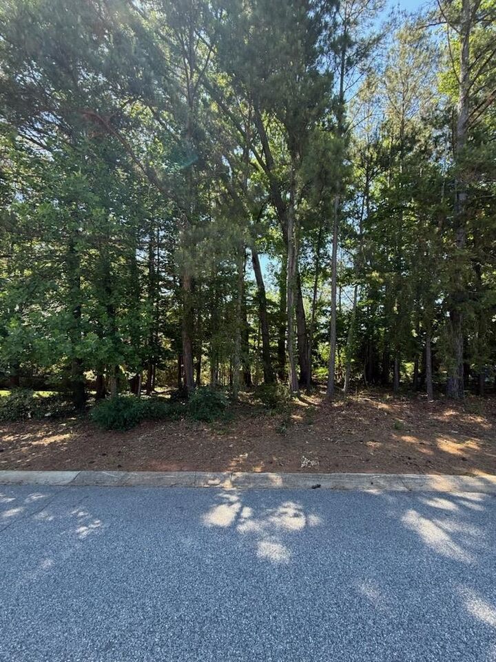 Property Photo:  213 S Carleila Lake Way ***  SC 29307 