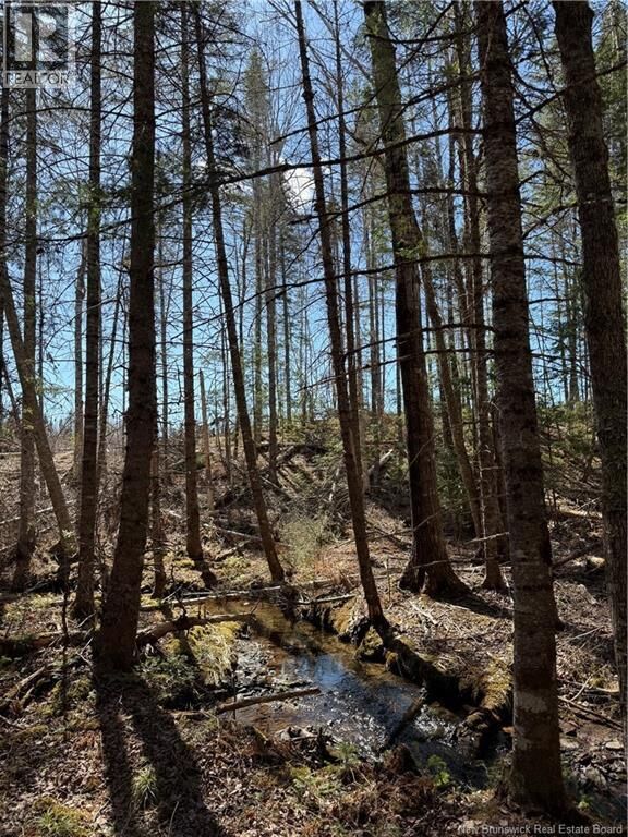 Property Photo:  Lot Route 905  NB E4Z 6C4 