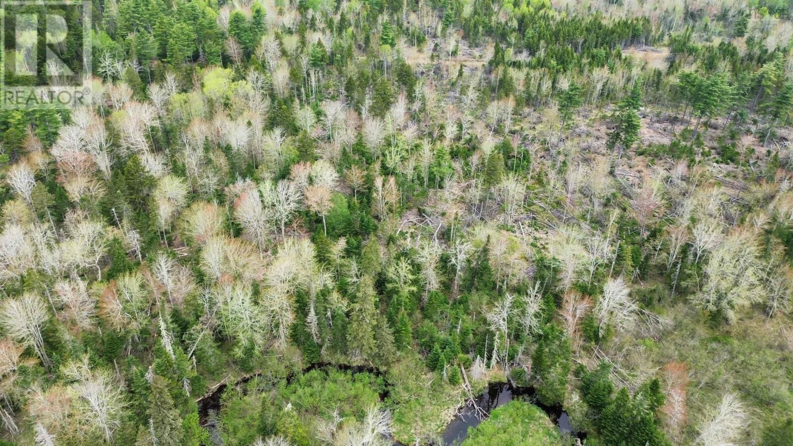 Property Photo:  V/L 204 Highway  NS B0M 1P0 