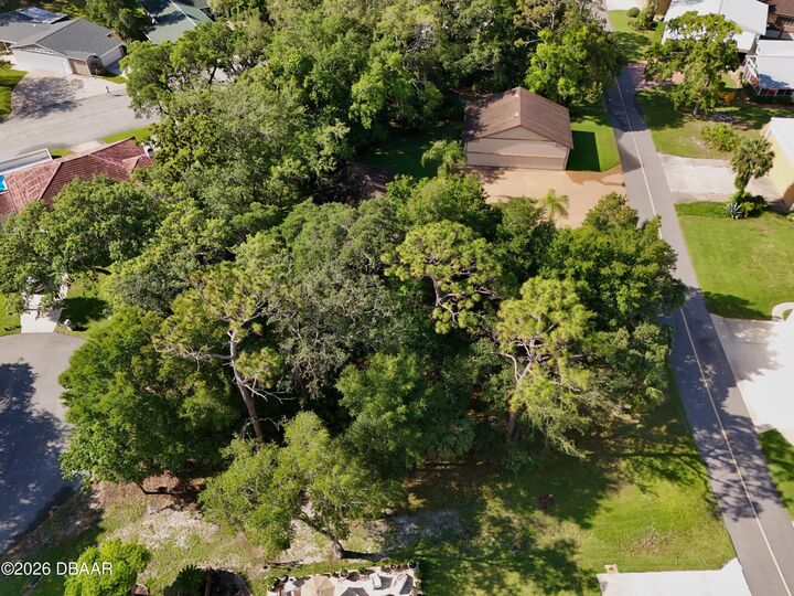 Property Photo:  2537 Tail Spin Trail  FL 32128 