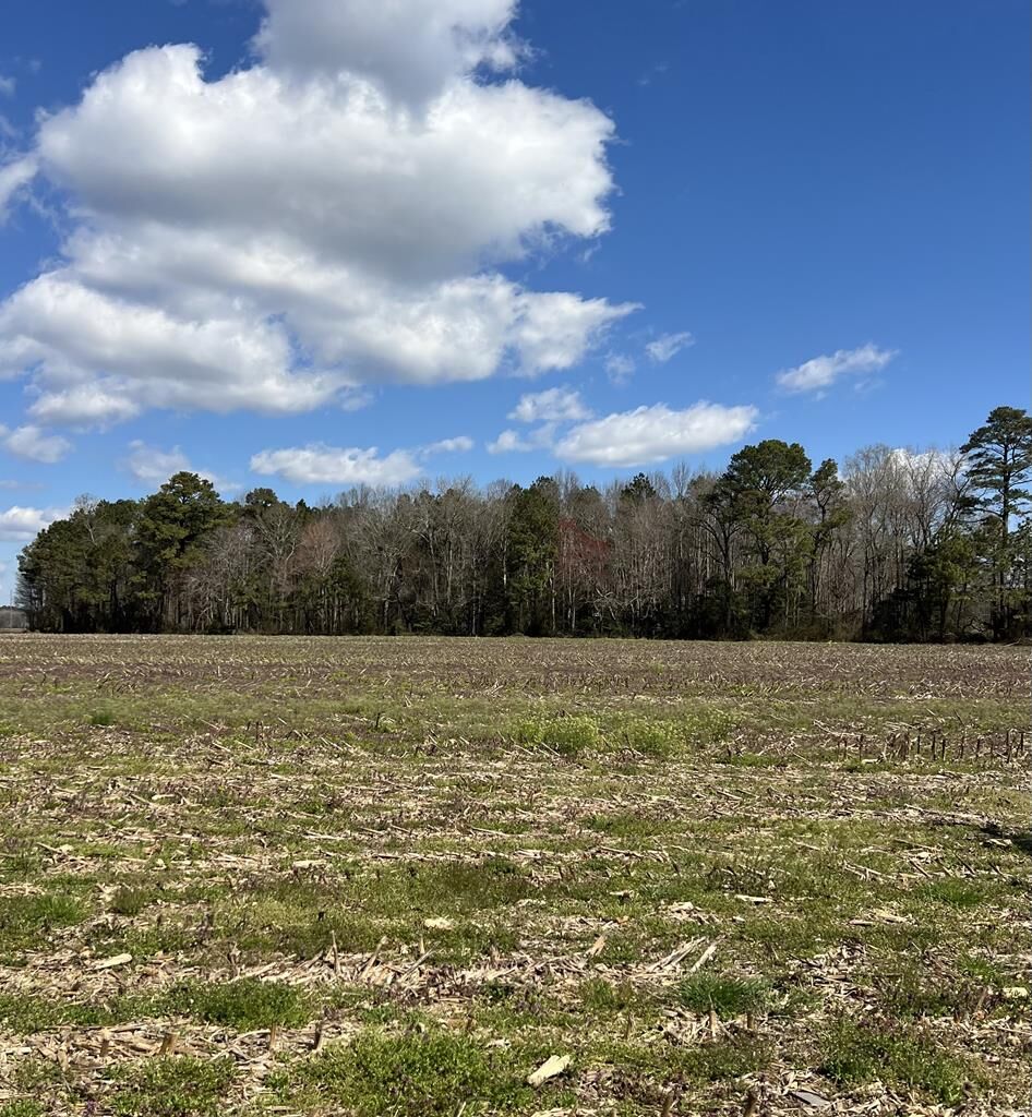 Property Photo:  Lot 5 Temperanceville Rd  VA 23442 