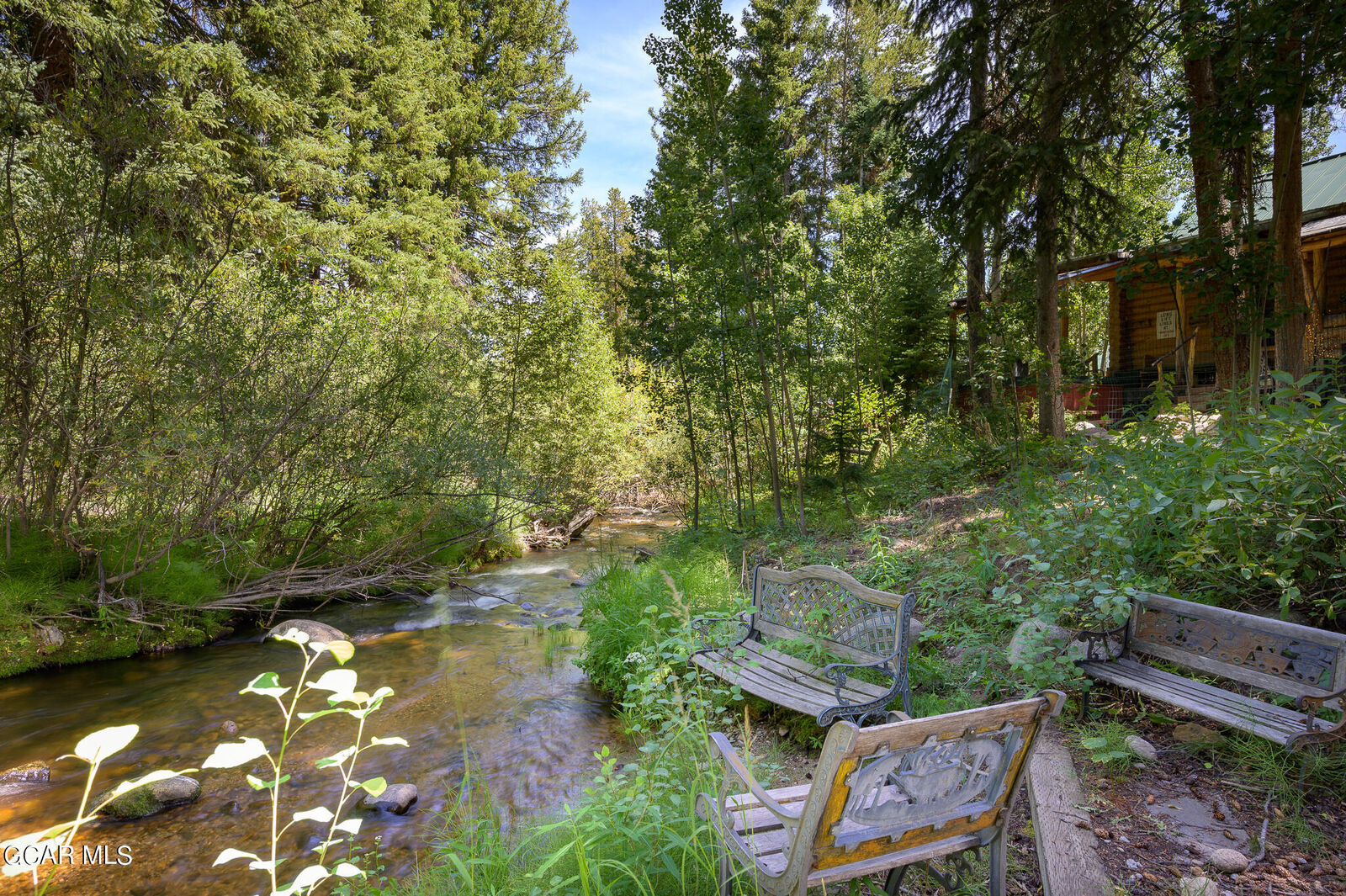 Property Photo:  115 Lions Gate Drive  CO 80482 