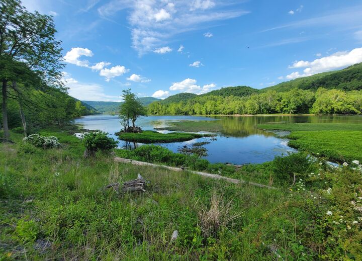 Property Photo: 1353 New River Rd WV 25951