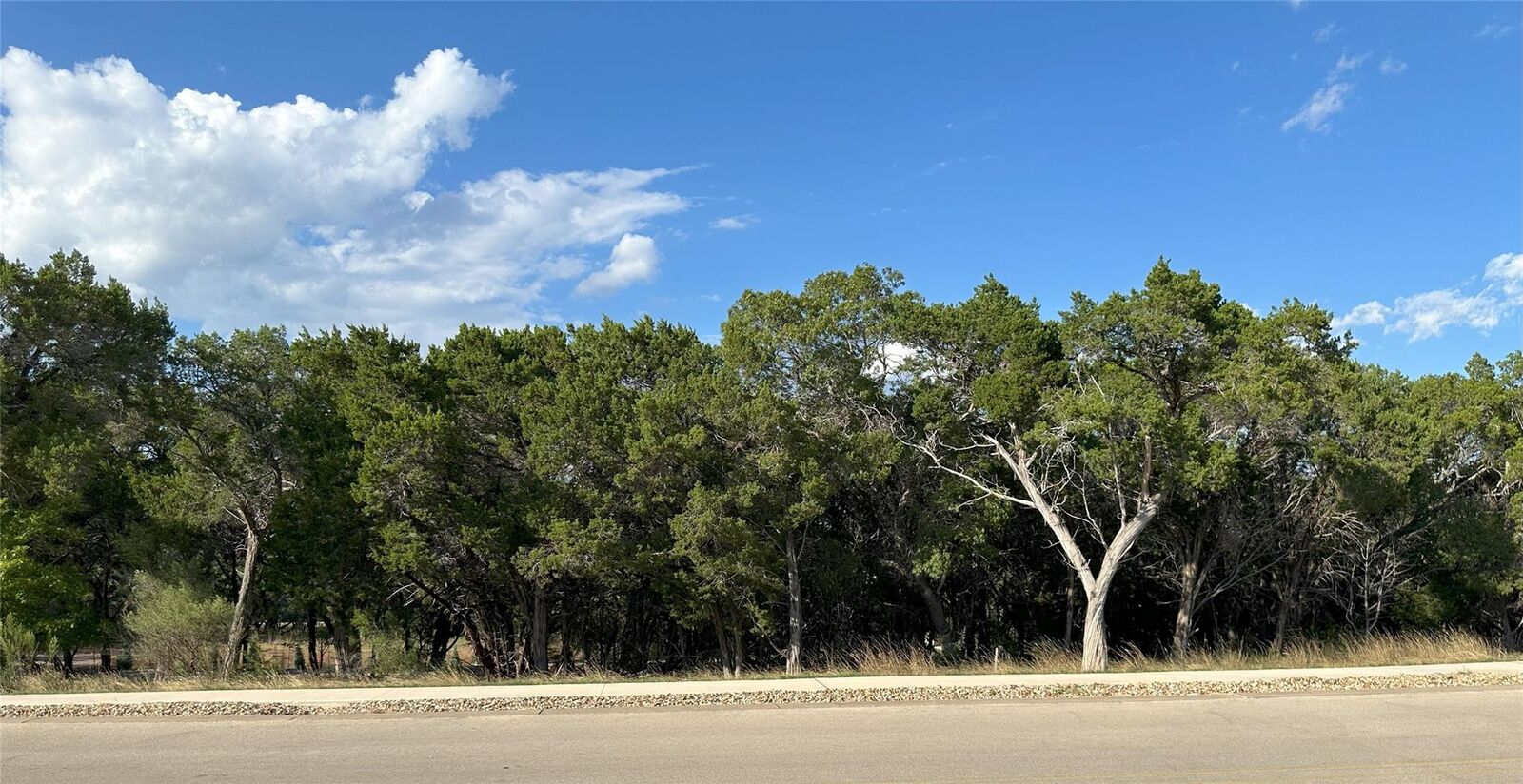 Property Photo:  4613 Destination Way  TX 78645 