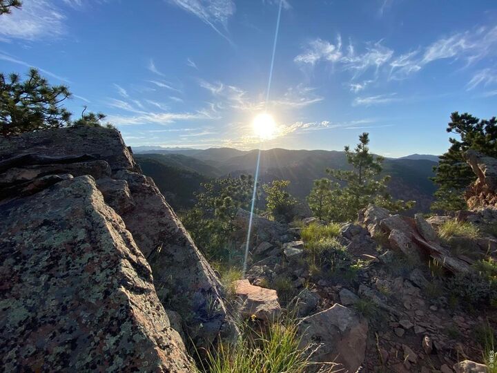 Property Photo: 634 Fountaintree Ln CO 80304