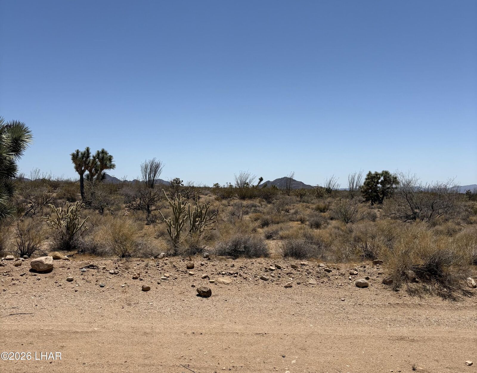 Property Photo:  000 E Maricopa Dr  AZ 86438 