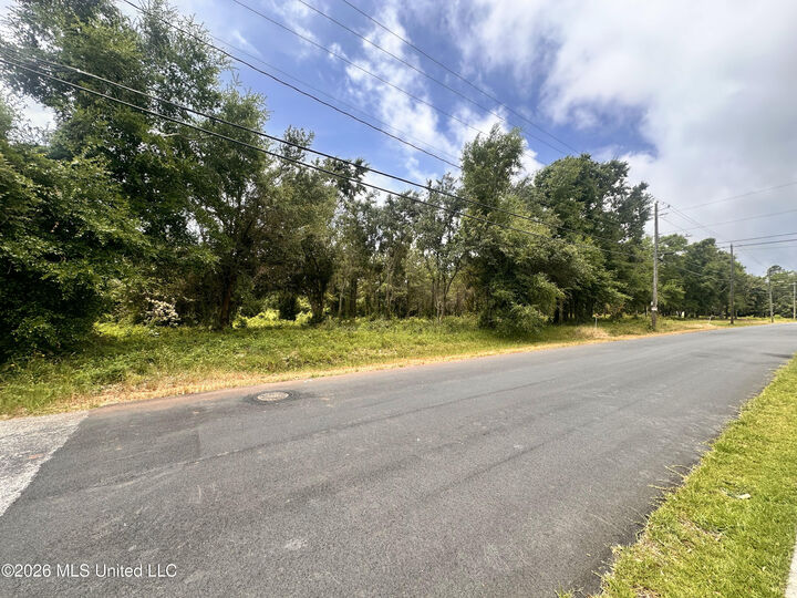 Property Photo:  Lot 10 Magnolia Street  MS 39560 