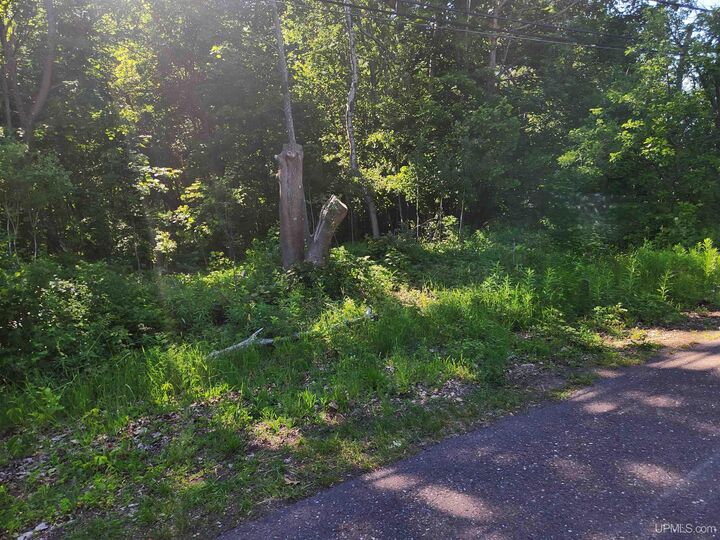 Property Photo:  Tbd 135 Eleventh Street  MI 49913 