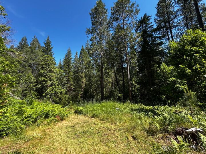 Property Photo:  12215 Poke Place  CA 95959 