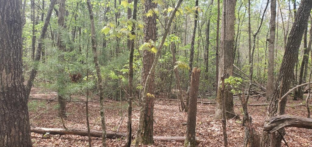 Property Photo:  36 & 38 Squirrel Hunting  GA 30536 
