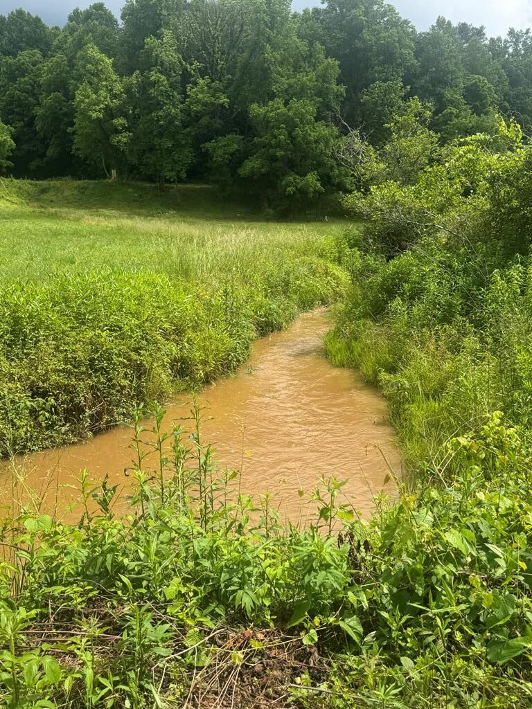 Property Photo:  00 Tails Creek Road  GA 30540 