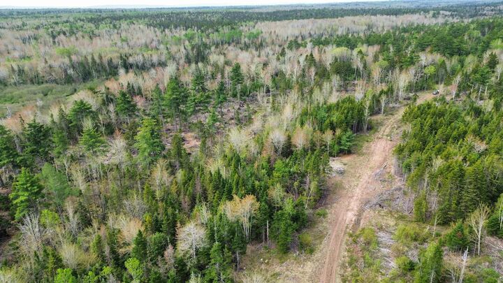 Property Photo:  V/L 204 Highway  NS B0M 1P0 