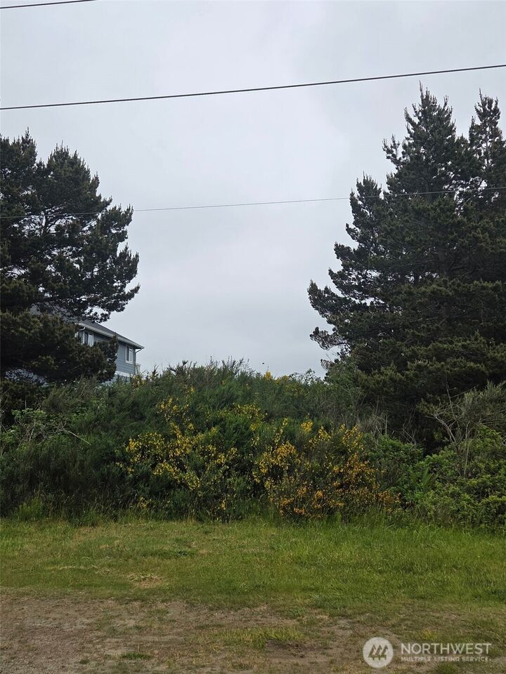 Property Photo: 556 Point Brown Avenue NE WA 98569