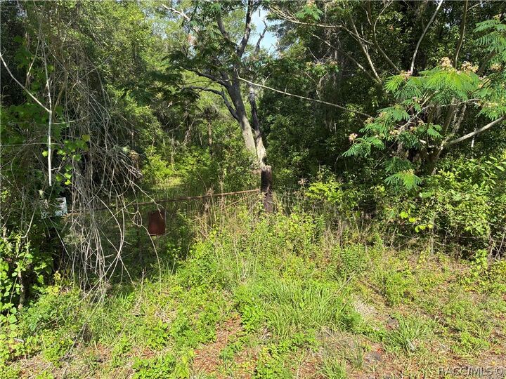 Property Photo:  5236 N Oldwood Point  FL 34442 